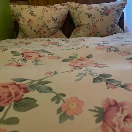 Stebuklas Guest house *