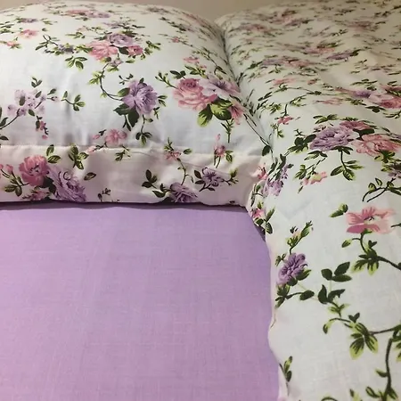 Stebuklas Guest house *
